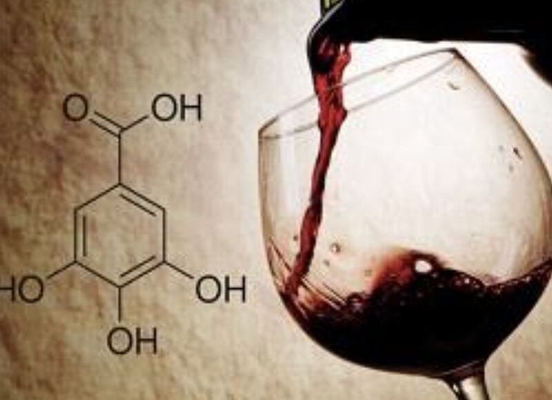 Sumillería para Dummies 12: Los taninos.