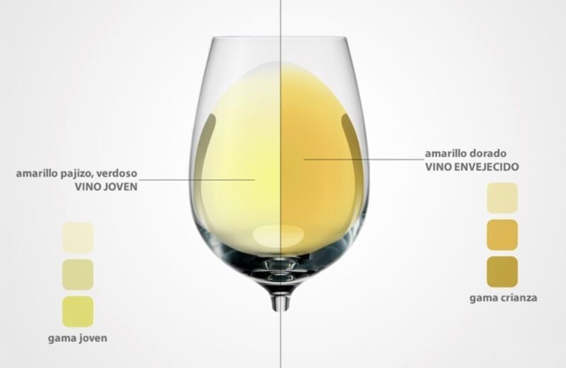 Sumillería para Dummies #1